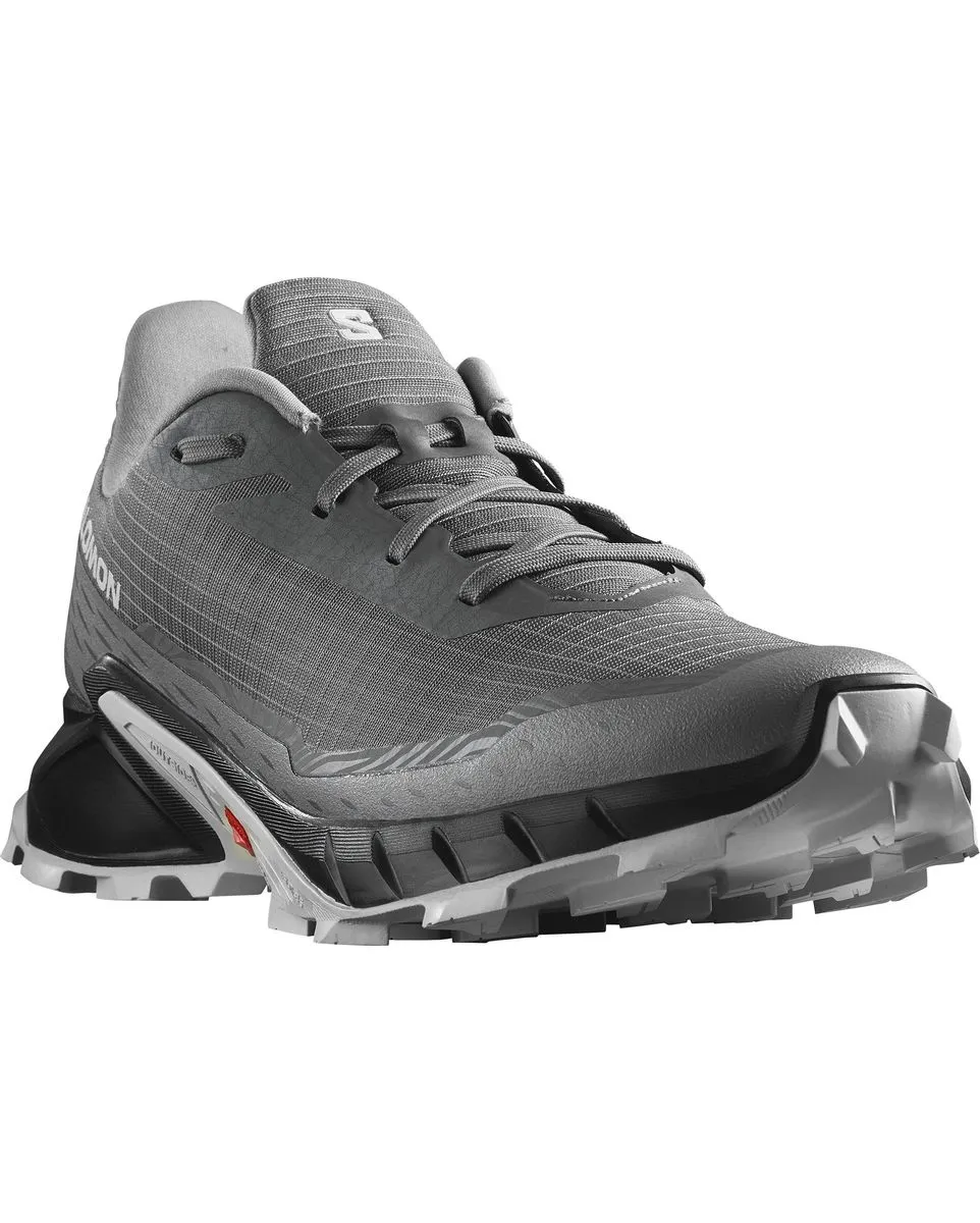 Chaussures de trail Homme SHOES ALPHACROSS 5 Gris