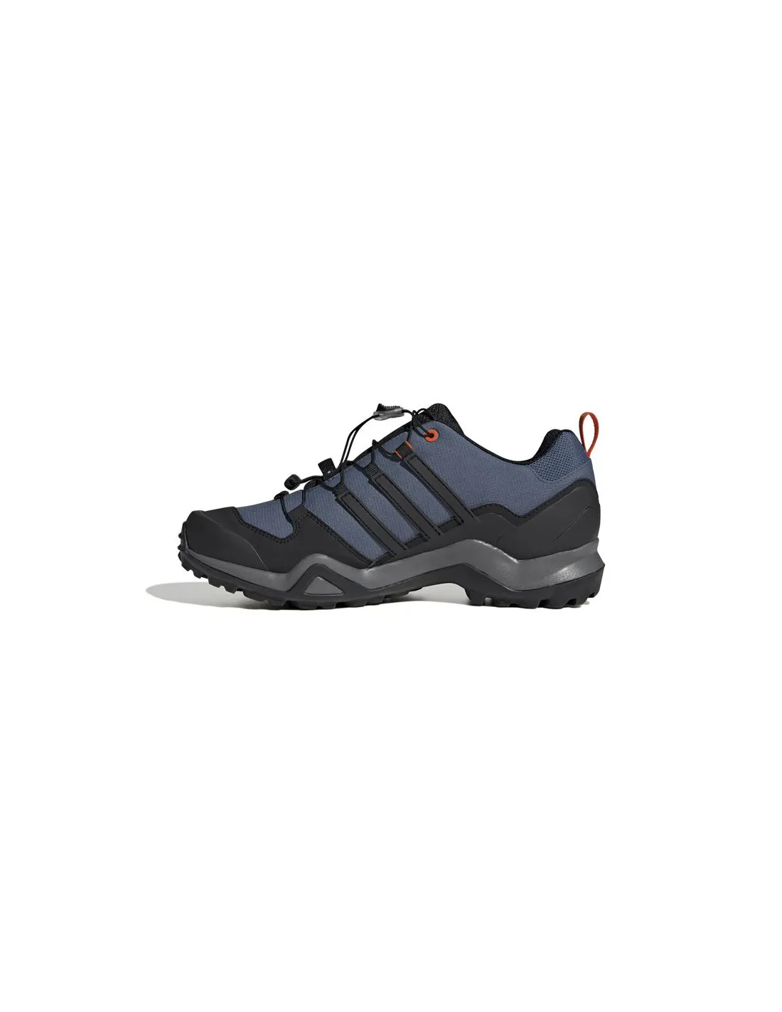 Mountain Chaussures adidas Terrex Swift R2 Gtx Man