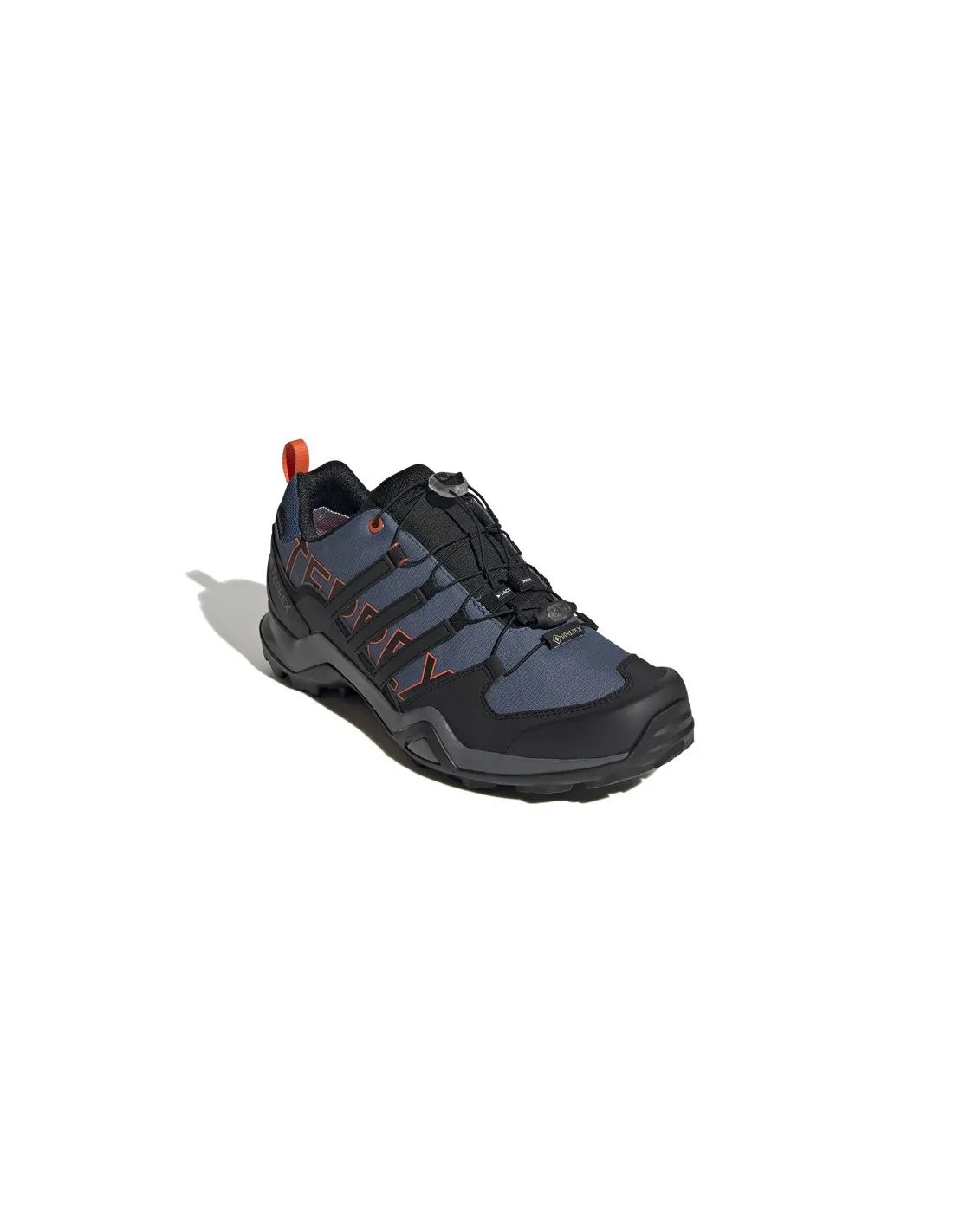 Mountain Chaussures adidas Terrex Swift R2 Gtx Man