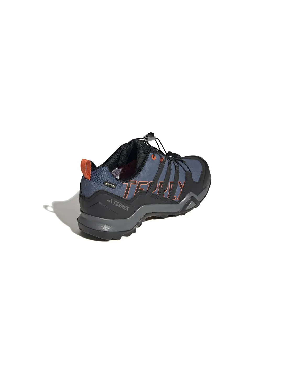 Mountain Chaussures adidas Terrex Swift R2 Gtx Man