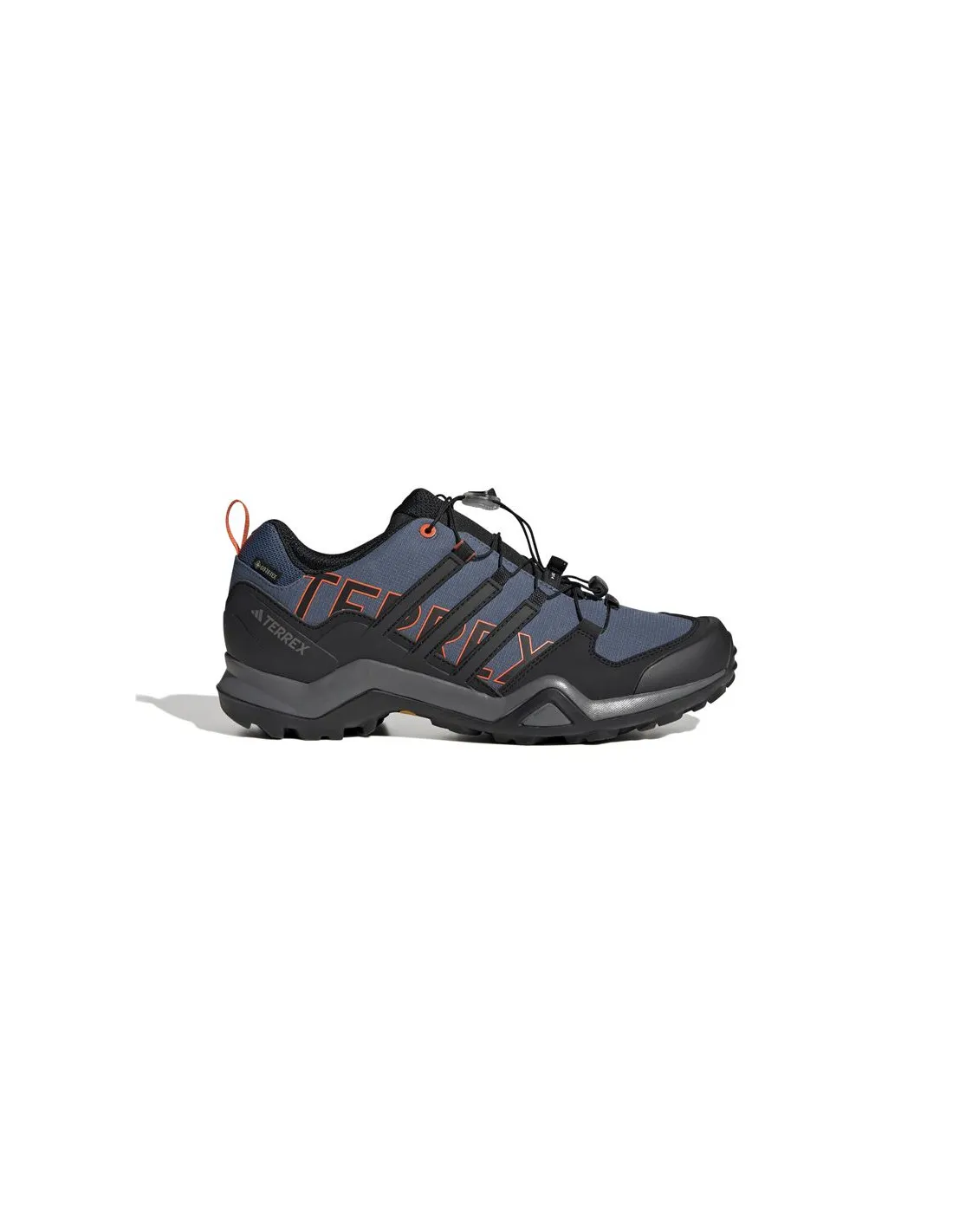 Mountain Chaussures adidas Terrex Swift R2 Gtx Man