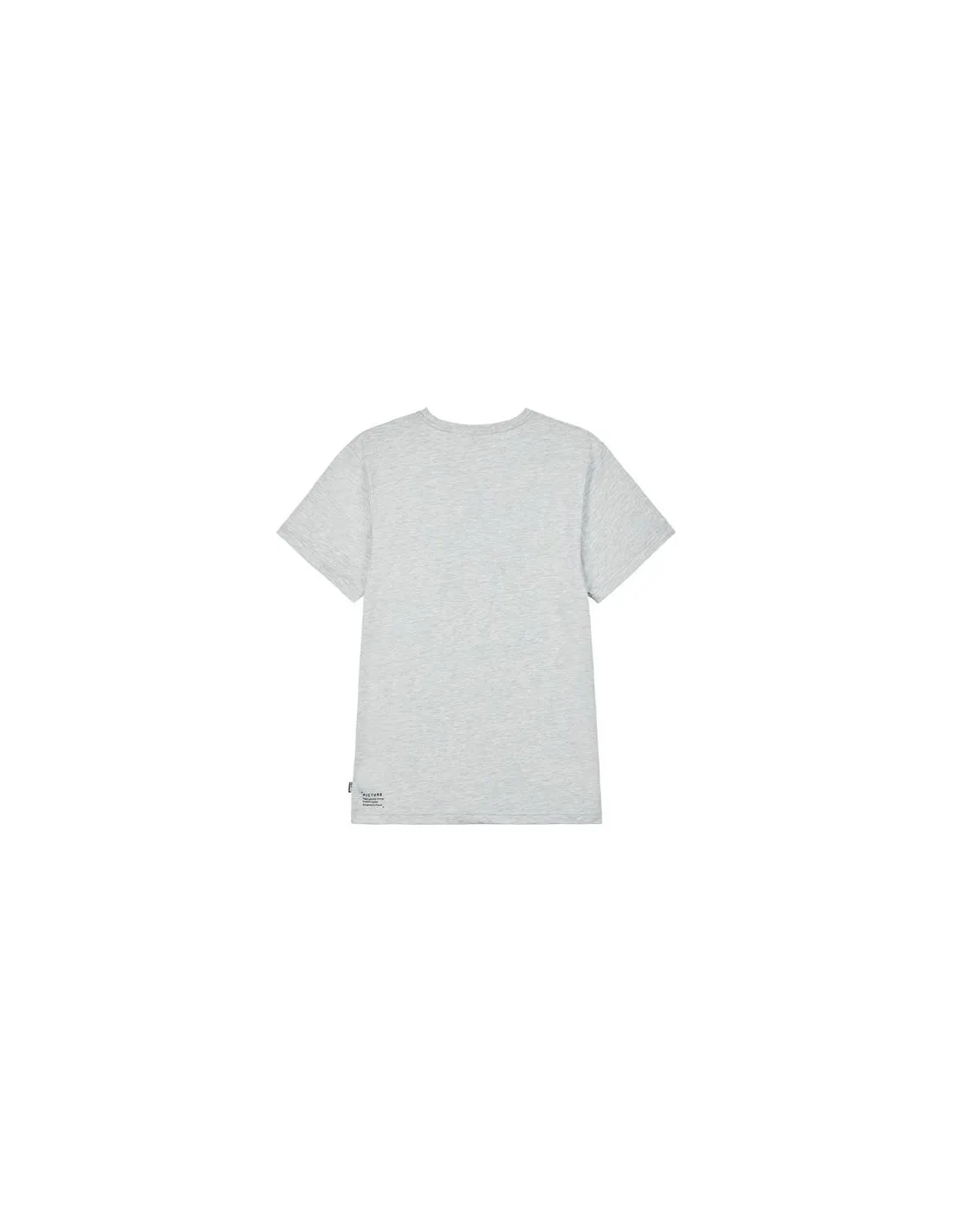 Picture Murray T-Shirt gris pour hommes