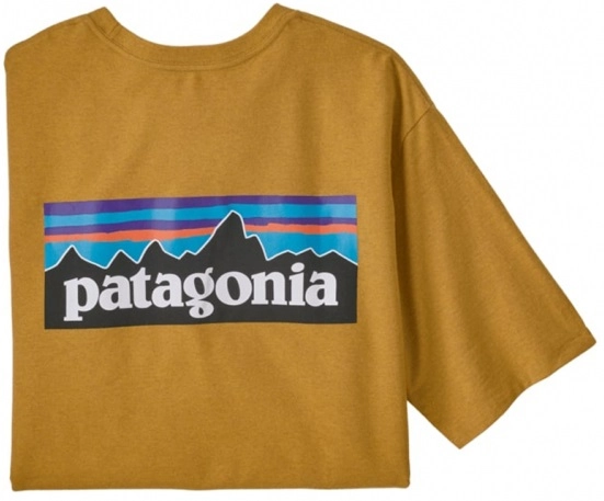 T-Shirt Patagonia Homme P6 Logo Responsibili Tee Hawk Gold